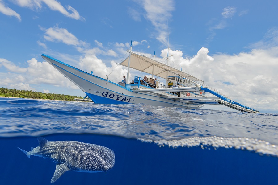 Cagayan Safari