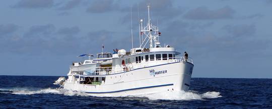 Silver Bank Hunter
