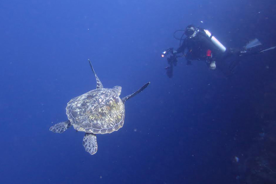 Bastianos Divers Bunaken
