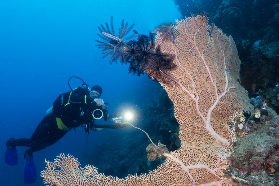 Blue Bay Divers Saronde