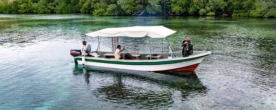 Kusu Island Divers