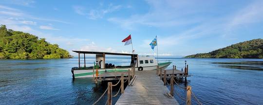 Proco Island Divers