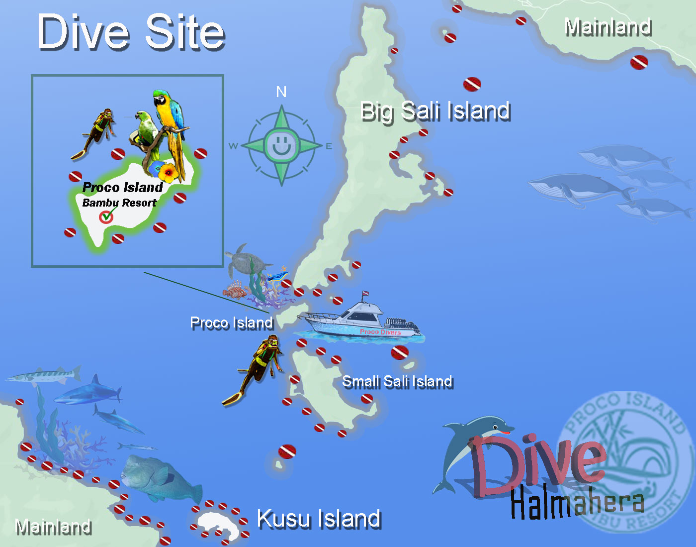 Proco Island Divers