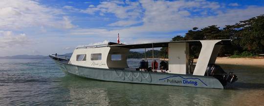 Pulisan Divers