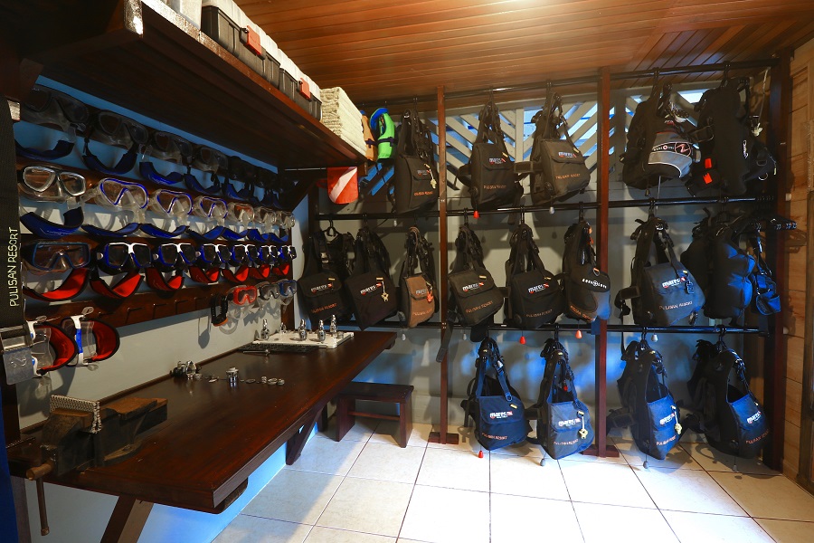 Pulisan Divers