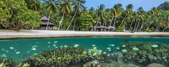 Triton Bay Divers