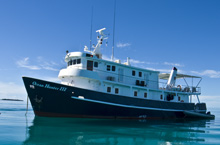Ocean Hunter III