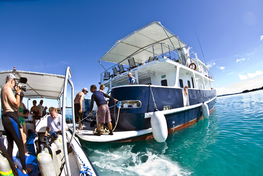 Ocean Hunter III