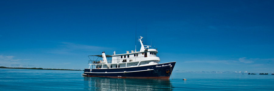 Ocean Hunter III