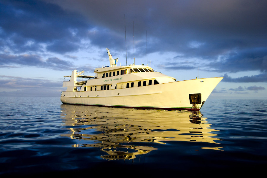 Spirit of Freedom