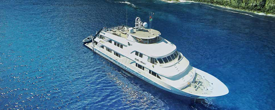 Nautilus Belle Amie