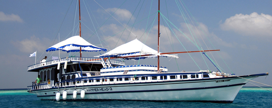 Hammerhead II