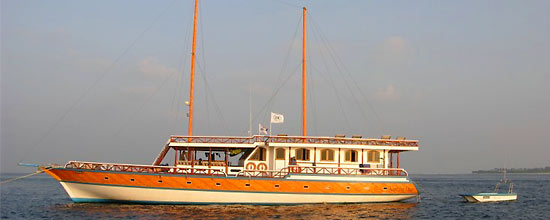 Nautilus One