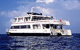 Kona Aggressor 2