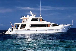 Island Dancer II