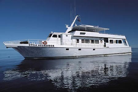 Utila Aggressor