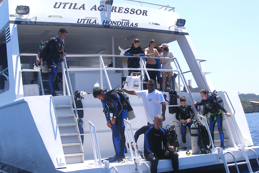 Utila Aggressor