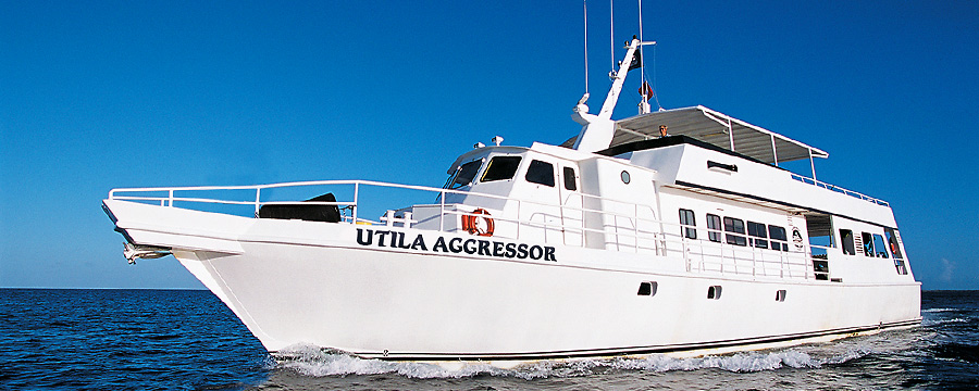 Utila Aggressor
