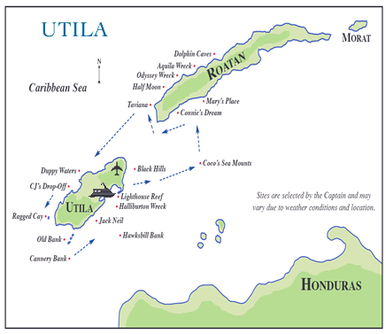 Utila Aggressor
