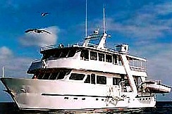 Estrella del Mar