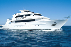 Seawolf Felo