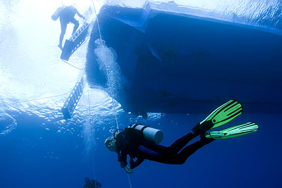 Caribbean Explorer II