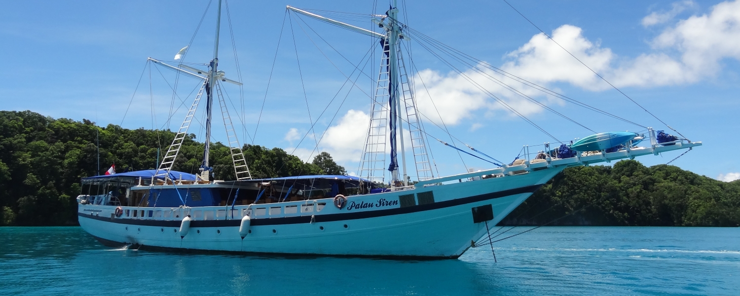 Palau Siren