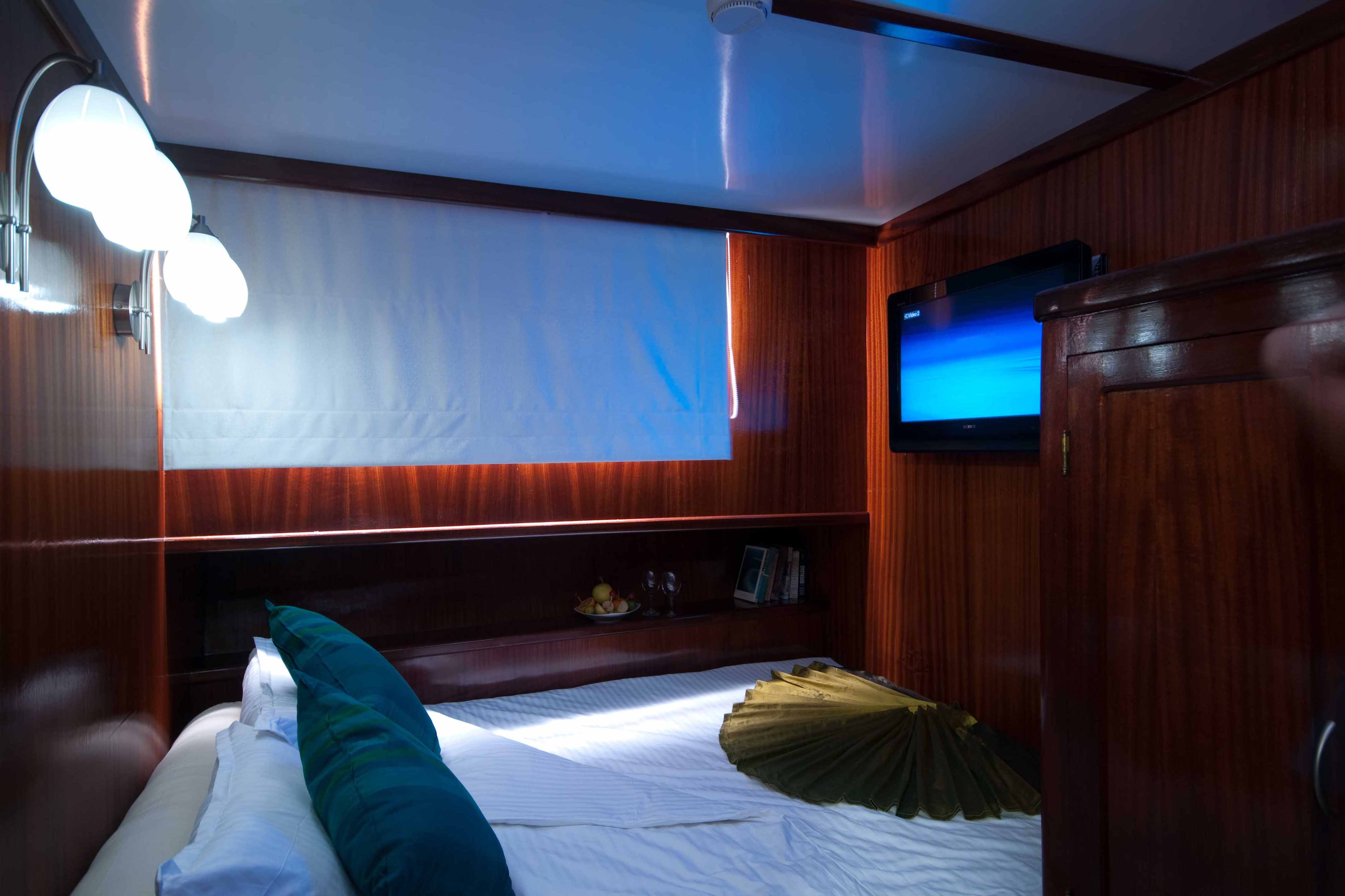 Dream Voyager