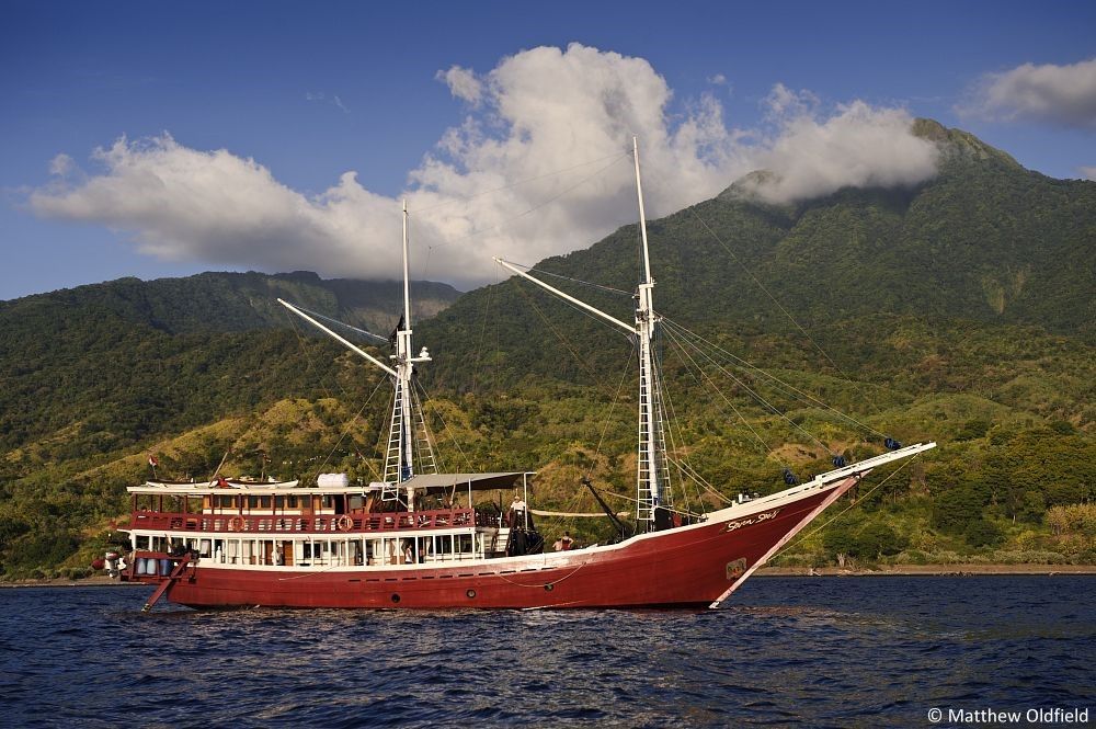 Seven Seas