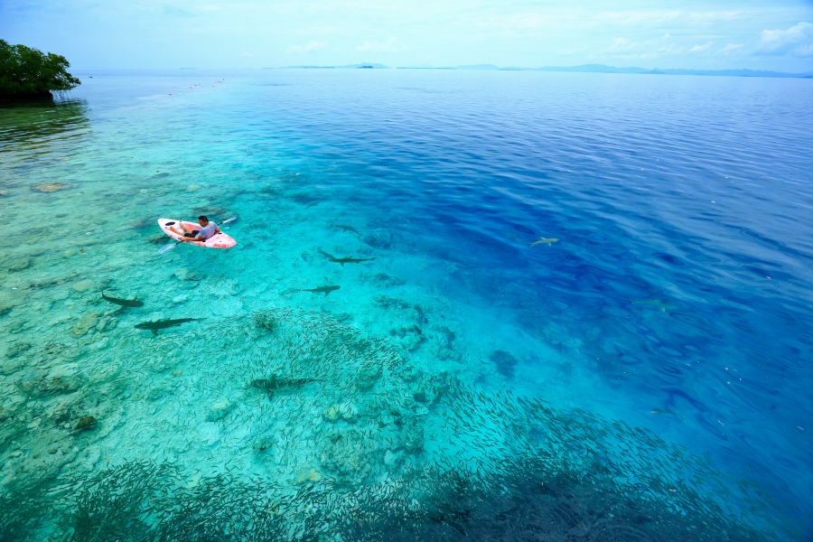 Cove Eco Resort