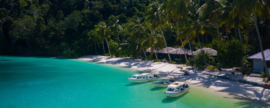 Triton Bay Dive Resort